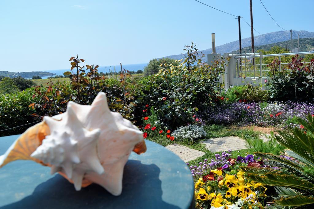 Sandra'S Sea View At Sounio Sunion Exteriör bild